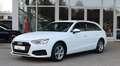 Audi A4 2.0 TDI / Business / Matrix-LED / MMI Plus Bianco - thumbnail 1