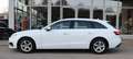 Audi A4 2.0 TDI / Business / Matrix-LED / MMI Plus Weiß - thumbnail 14