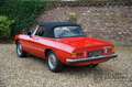 Alfa Romeo 2000 Spider Veloce Mechanically very well maintained an Rot - thumbnail 13
