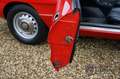 Alfa Romeo 2000 Spider Veloce Red over blue, mechanically very wel Rood - thumbnail 20