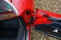 Alfa Romeo 2000 Spider Veloce Mechanically very well maintained an Rouge - thumbnail 30