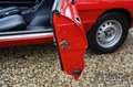 Alfa Romeo 2000 Spider Veloce Mechanically very well maintained an Rouge - thumbnail 40