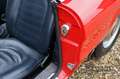 Alfa Romeo 2000 Spider Veloce Mechanically very well maintained an Rood - thumbnail 21