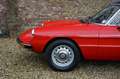 Alfa Romeo 2000 Spider Veloce Mechanically very well maintained an Czerwony - thumbnail 14