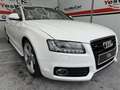 Audi A5 Coupé 3.0TDI quattro Blanco - thumbnail 26