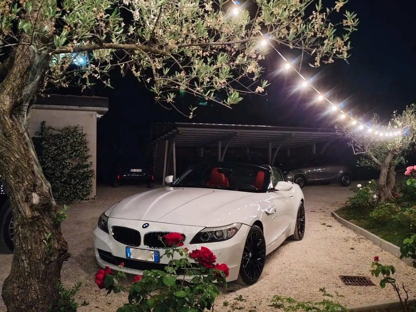 BMW Z4 sdrive30i Bianco - 2