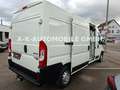Peugeot Boxer Kasten Hochraum 335 L3H2 Pro Avantage Plus Weiß - thumbnail 28