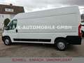 Peugeot Boxer Kasten Hochraum 335 L3H2 Pro Avantage Plus Weiß - thumbnail 4