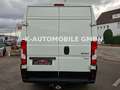 Peugeot Boxer Kasten Hochraum 335 L3H2 Pro Avantage Plus Weiß - thumbnail 27