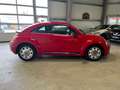 Volkswagen Beetle Sport Pano Automatik 1.Hand Rouge - thumbnail 5