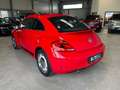 Volkswagen Beetle Sport Pano Automatik 1.Hand Rosso - thumbnail 3