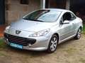 Peugeot 307 Descapotable 136cv Manual de 2 Puertas Gris - thumbnail 2