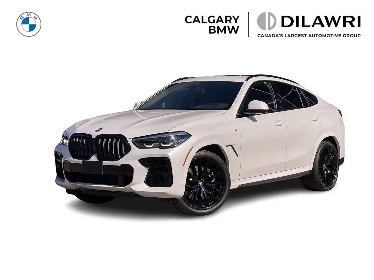 2022 BMW X6