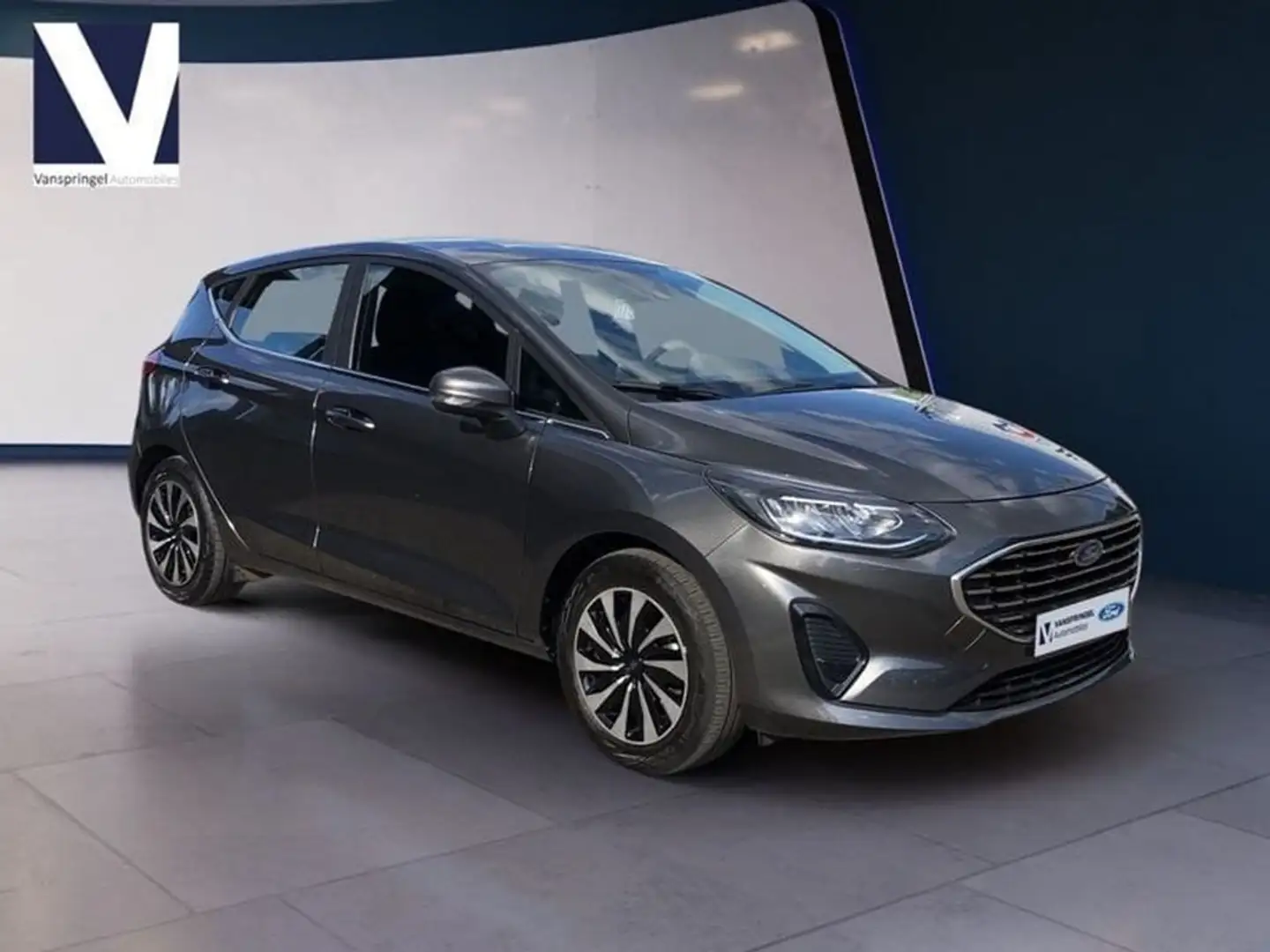 Ford Fiesta EcoBoost Titanium Grijs - 2