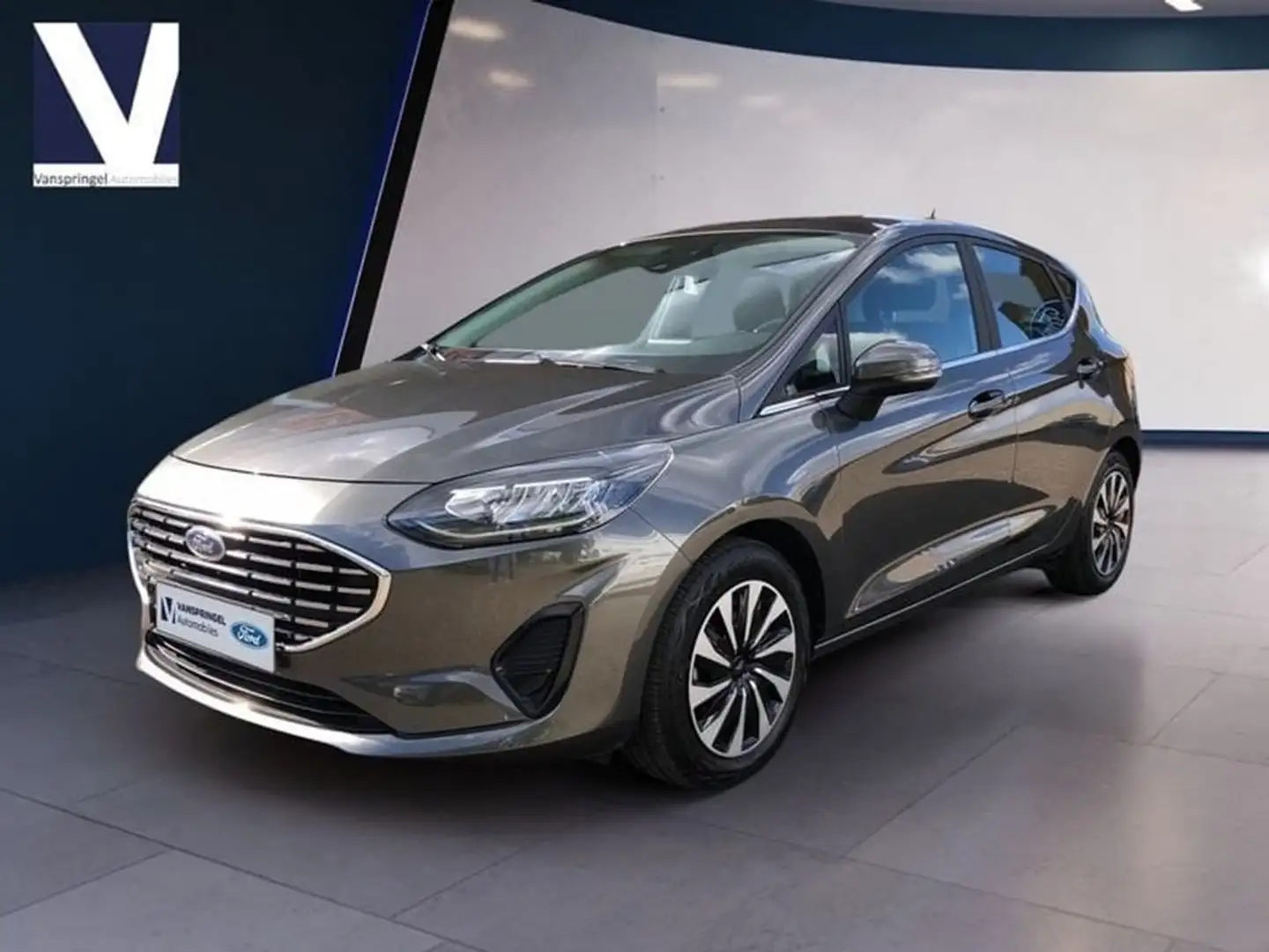Ford Fiesta EcoBoost Titanium Grijs - 1