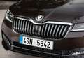 Skoda Superb Combi 2.0 TDI Essence 4x4 DSG 142kW - thumbnail 32