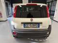 Fiat Panda 1.0 GSE S&S Hybrid Pop Van 2 posti *+ IVA22%* Weiß - thumbnail 5