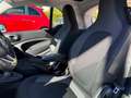 smart forTwo Fortwo III 2020 eq Prime 4,6kW Blu/Azzurro - thumbnail 12