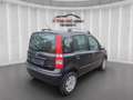 Fiat Panda 1.2 8V Natural Power, Erdgas, Klima*100 Schwarz - thumbnail 3