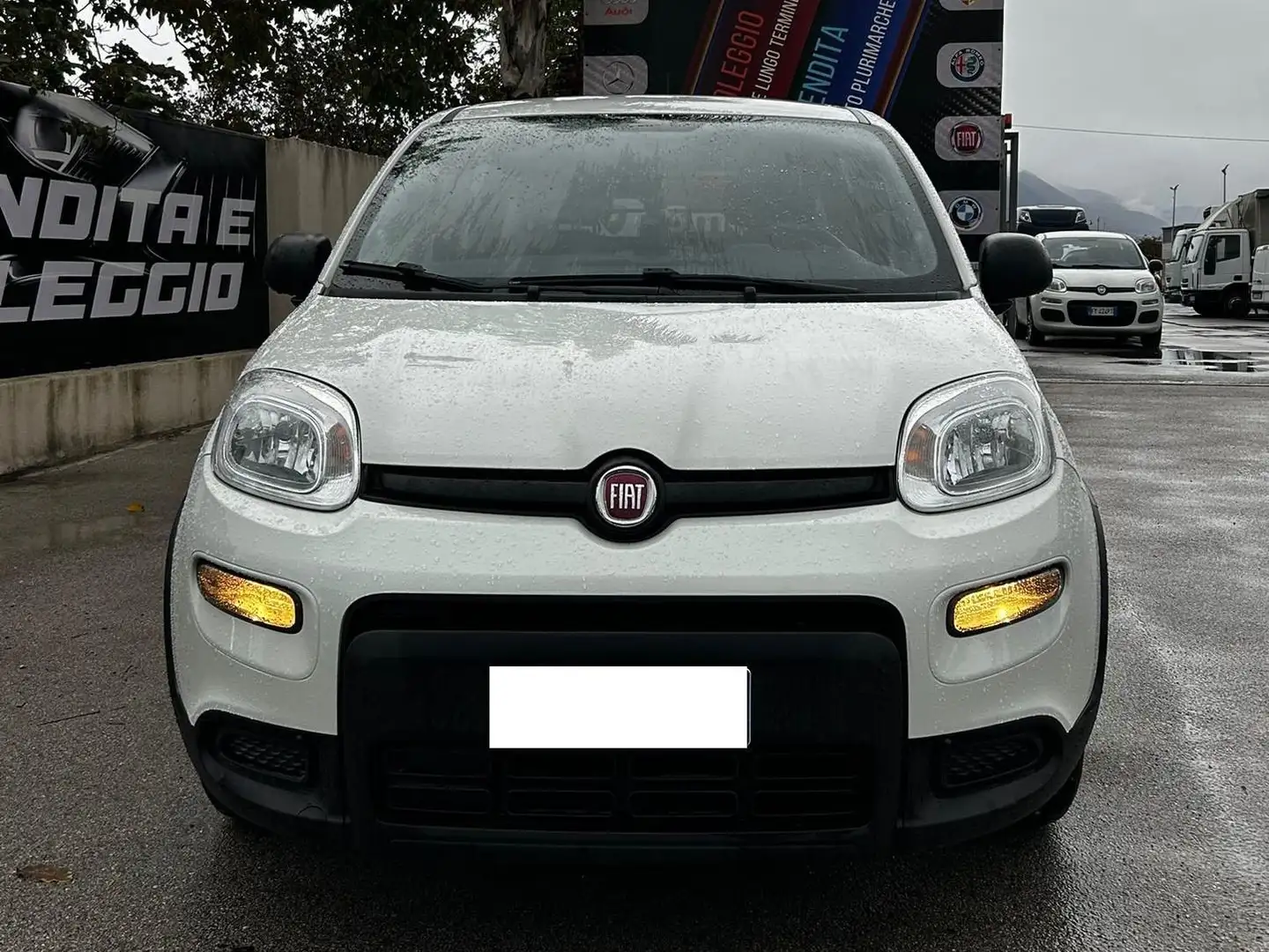 Fiat Panda Panda 1.0 hybrid Easy Connect s Blanc - 2