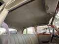 Mercedes-Benz 220 Ponton  A Schöner Ponton A von 1955 Beige - thumbnail 18