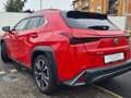 Lexus UX 250h 250 h HEV Desing Rosso - thumbnail 7