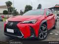 Lexus UX 250h 250 h HEV Desing Rosso - thumbnail 1