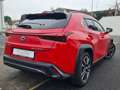 Lexus UX 250h 250 h HEV Desing Rosso - thumbnail 5