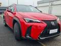 Lexus UX 250h 250 h HEV Desing Rosso - thumbnail 3