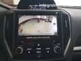 Subaru XV 1.6i Sport Plus CVT Verde - thumbnail 16