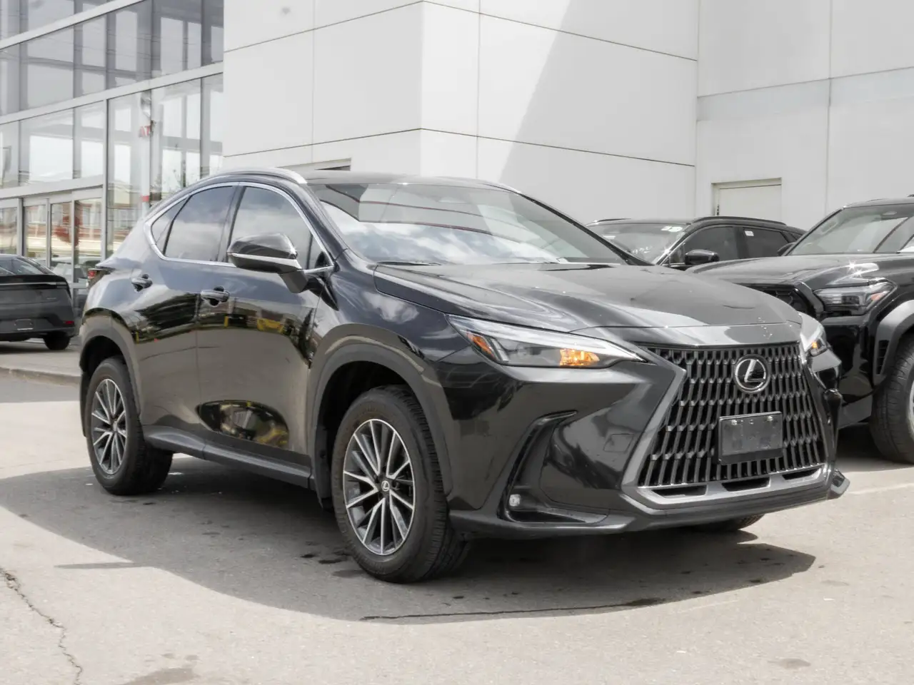 Lexus NX fotografie Lexus NX