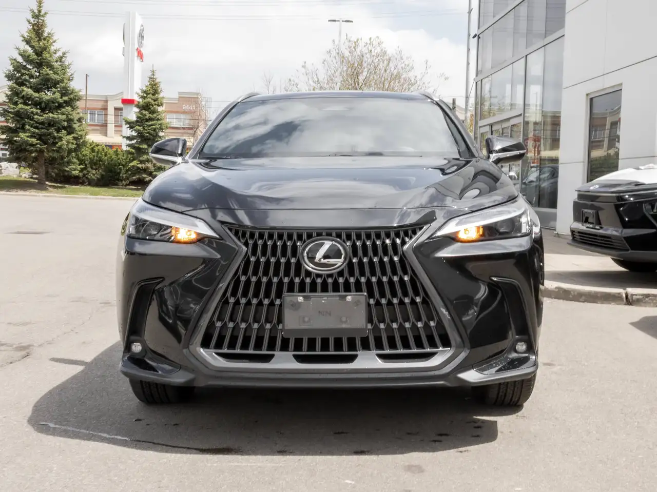 Lexus NX fotografie Lexus NX