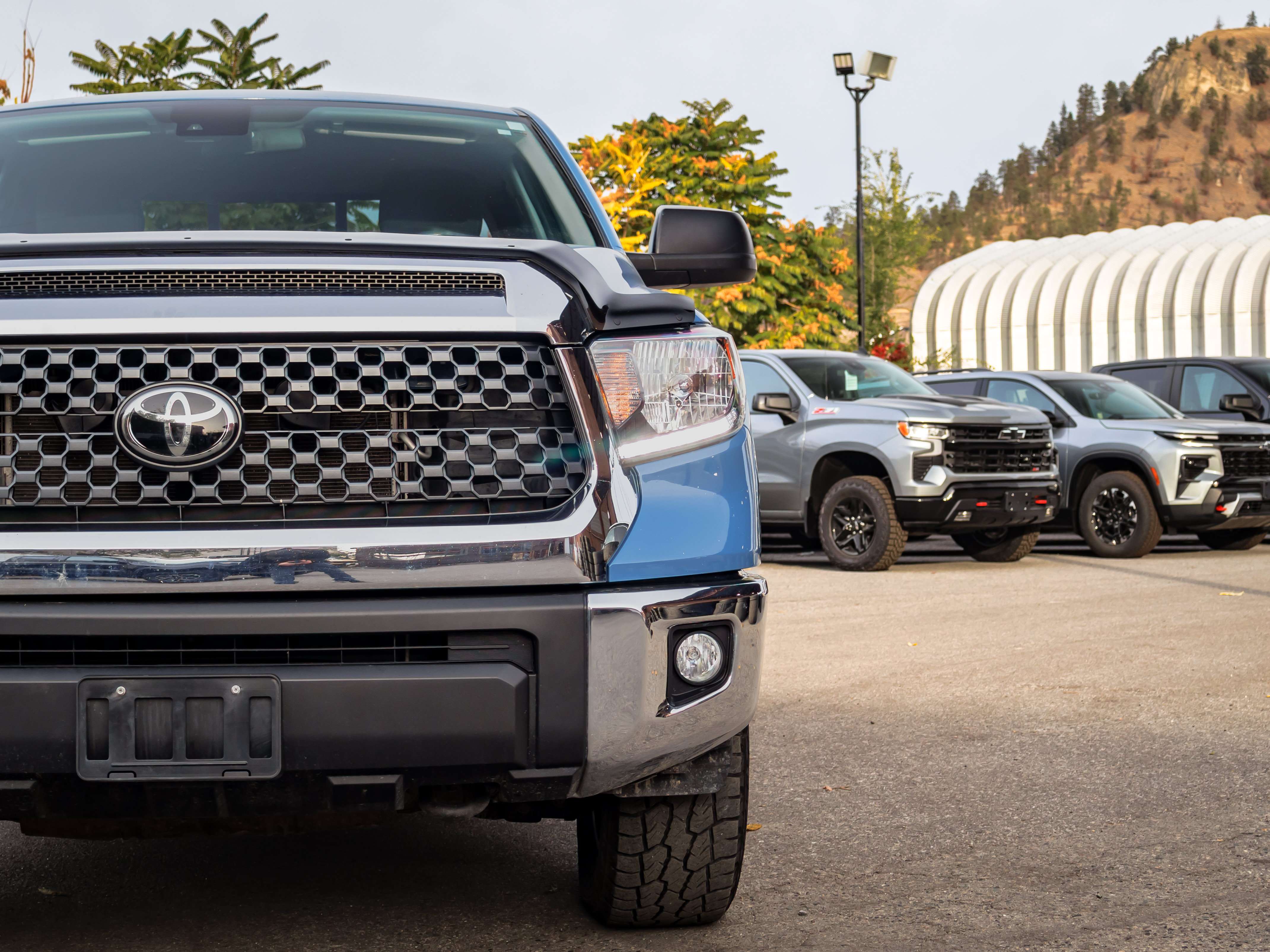 Image 13