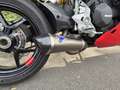 Ducati SuperSport 950 S | Termignoni - thumbnail 11