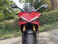 Ducati SuperSport 950 S | Termignoni - thumbnail 15