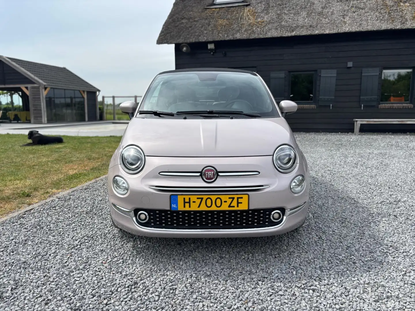 Fiat 500C 1.0 Hybrid Star Bianco - 2