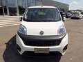 Fiat Qubo 1.3 MJT 95 CV Easy AUTOCARRO N1 4P KM CERTIFIC - thumbnail 3
