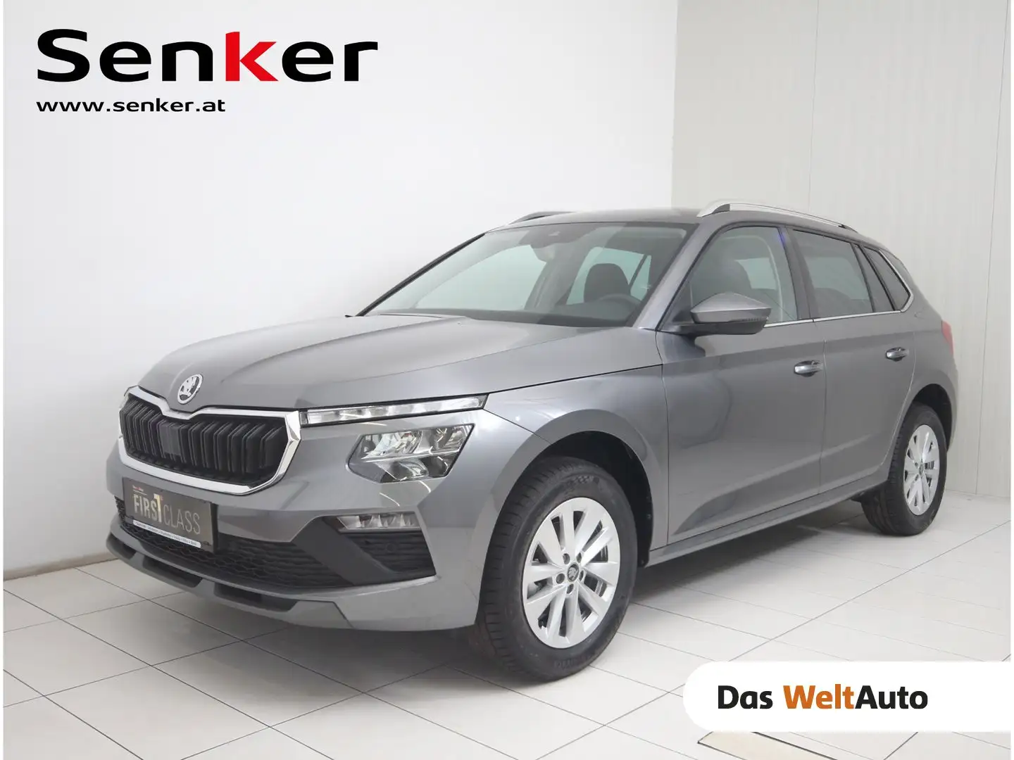 Skoda Kamiq Selection TSI Grau - 1