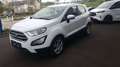 Ford EcoSport 1,0 EcoBoost Cool & Connect Weiß - thumbnail 3