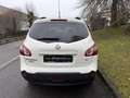Nissan Qashqai+2 acenta  4X4 7 POSTI Weiß - thumbnail 8