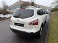 Nissan Qashqai+2 acenta  4X4 7 POSTI Weiß - thumbnail 9