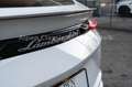 Lamborghini Urus 4.0 V8 B&O, Massage, TV, Sitzbelüftung Blanc - thumbnail 12
