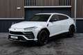 Lamborghini Urus 4.0 V8 B&O, Massage, TV, Sitzbelüftung Blanc - thumbnail 15