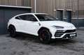 Lamborghini Urus 4.0 V8 B&O, Massage, TV, Sitzbelüftung Blanc - thumbnail 1
