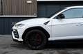 Lamborghini Urus 4.0 V8 B&O, Massage, TV, Sitzbelüftung Blanc - thumbnail 3