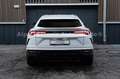 Lamborghini Urus 4.0 V8 B&O, Massage, TV, Sitzbelüftung Blanc - thumbnail 24