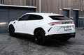 Lamborghini Urus 4.0 V8 B&O, Massage, TV, Sitzbelüftung Blanc - thumbnail 5