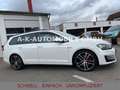 Volkswagen Golf VII Variant GTD*KAMERA*DSG*ACC*SHZ* Weiß - thumbnail 13