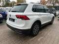 Volkswagen Tiguan Life 1,5 16V TSI ACT DSG*LED*ACC*RFK*AHK*SHZ Weiß - thumbnail 4