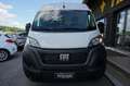 Fiat Ducato 33 2.2 Mjt 140CV L2H2 Furgone KM ZERO Bianco - thumbnail 1
